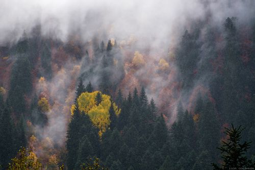 Осеннее сердце гор