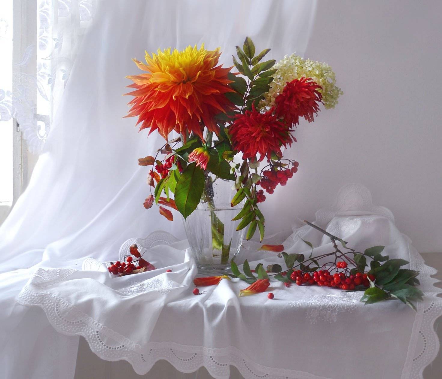 still life,натюрморт,  цветы фото натюрморт сентябрь рябина осень гортензия георгины, Колова Валентина