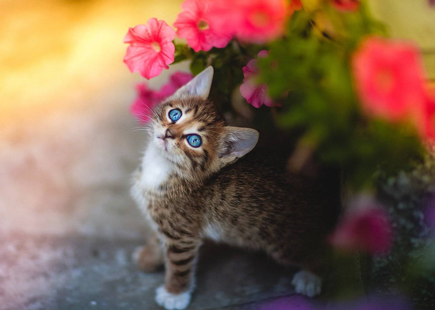, Коротун Юрий