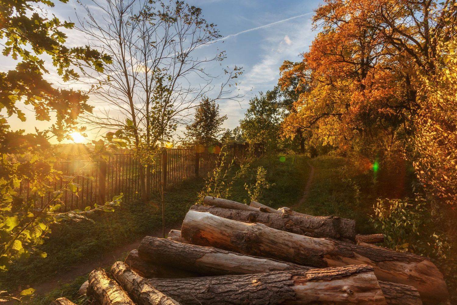 минск, беларусь, роща, осень, прогулка, Andrey Kozlov