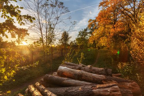 Прогулка в Роще