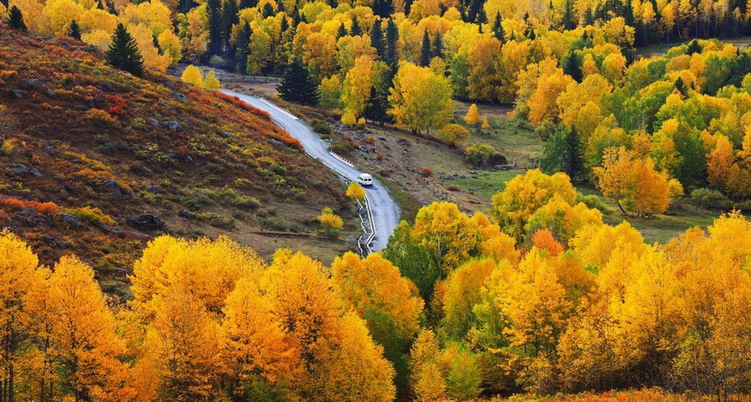 , Inkol Yu  유인걸