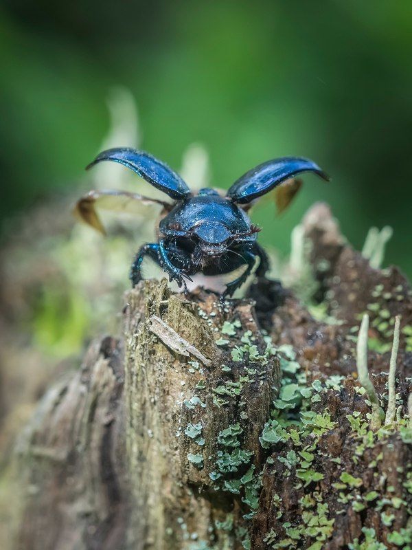 на  взлёт фото превью