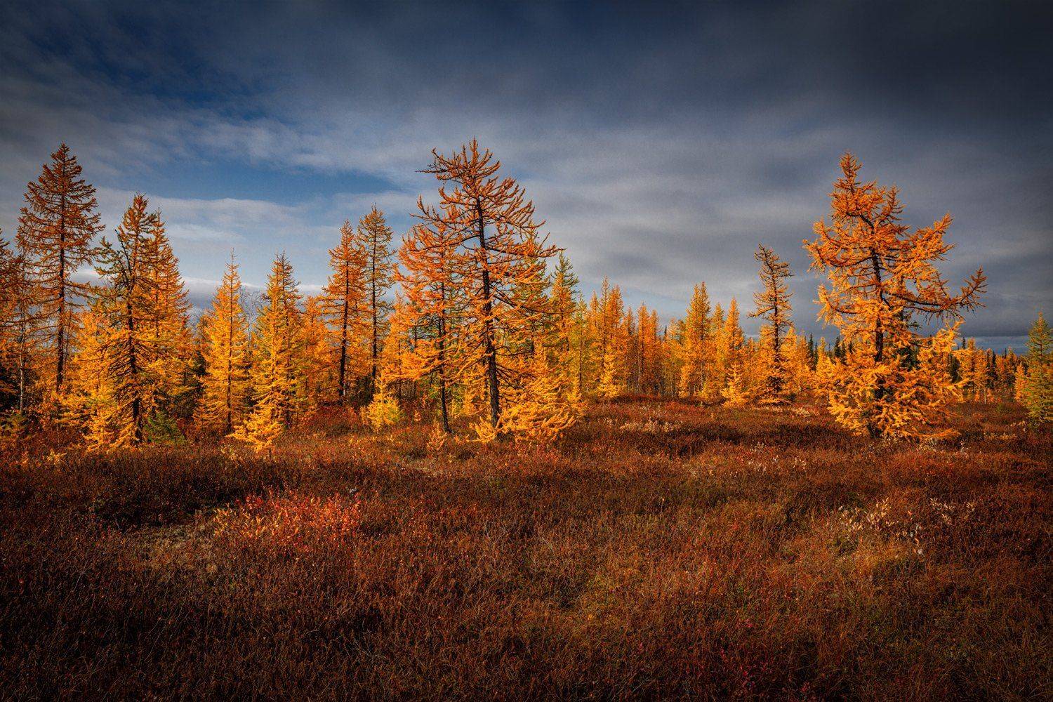 , Евгений Кужилев