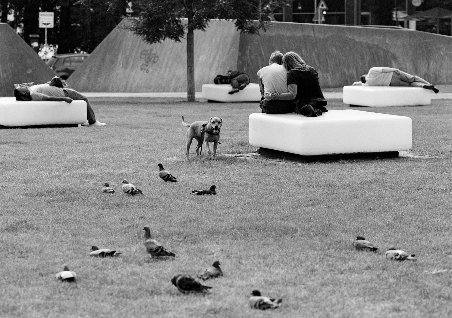 , Павел Симкин