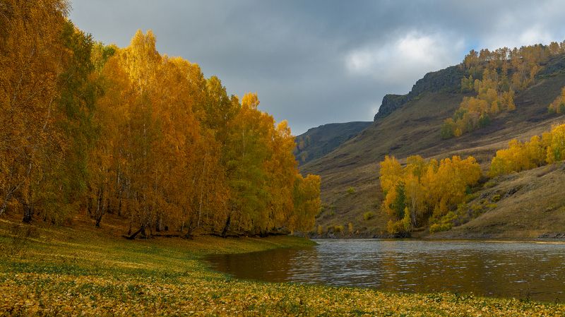 *** фото превью