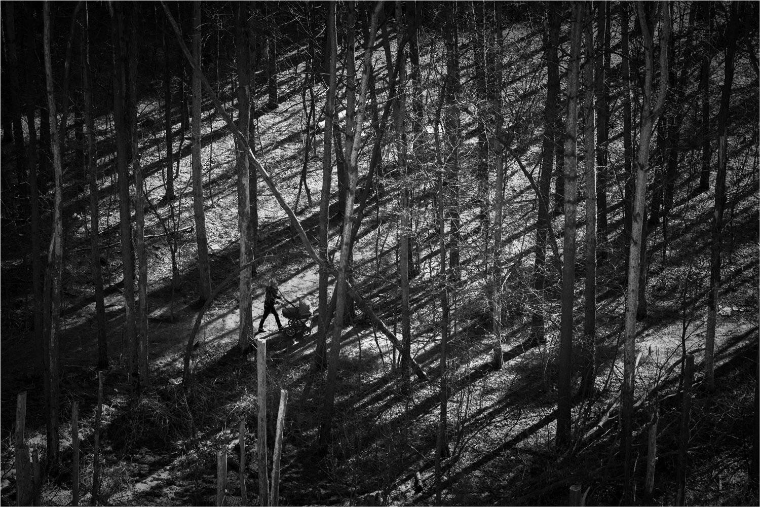 , Алексей Федотов