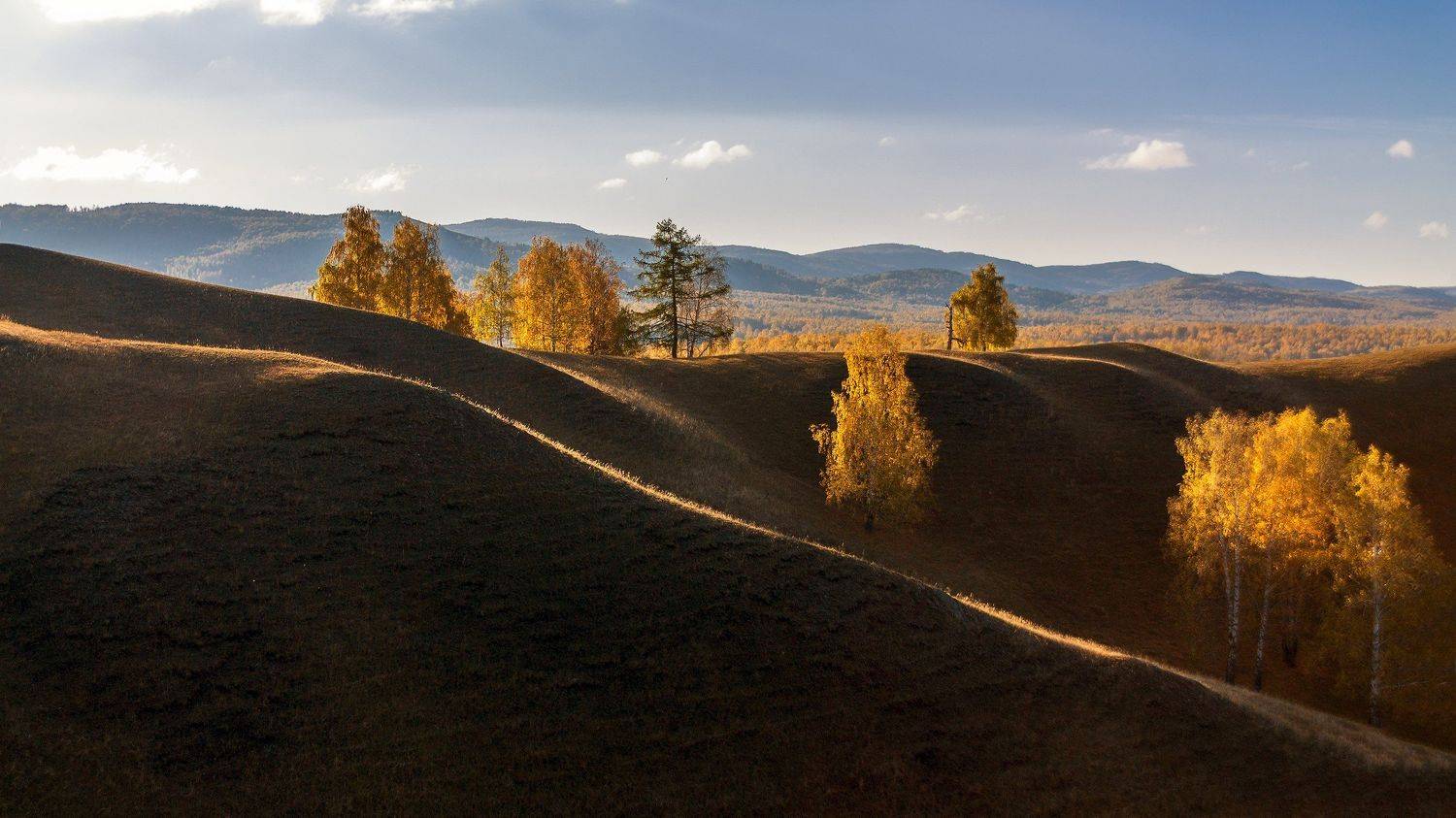 утро, рассвет, восход, туман, лучи, Леонид Максименко
