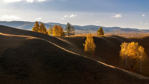 Холмогорье