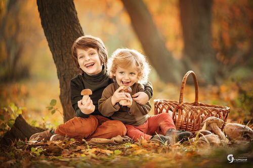 Не тихая охота