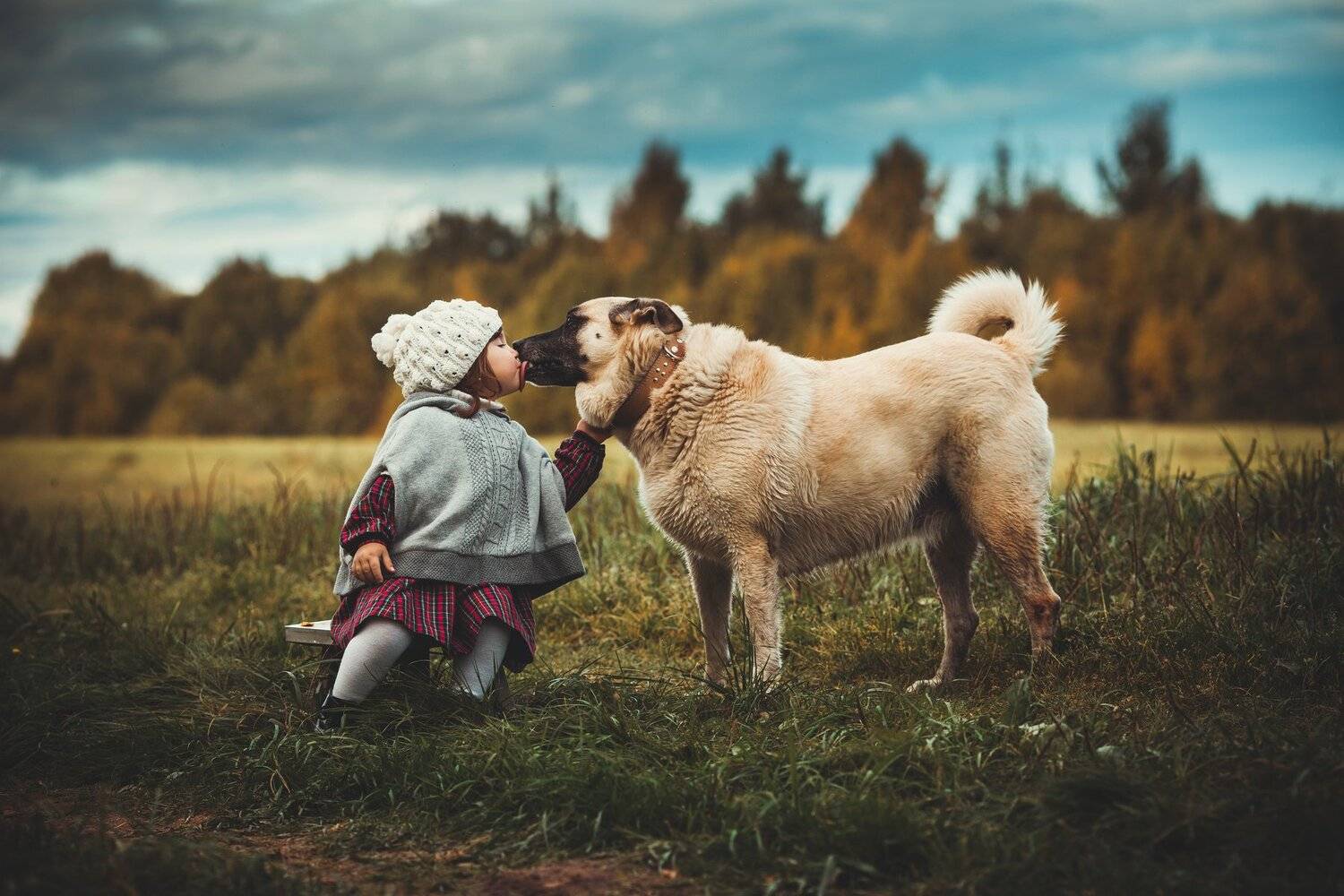 девочка, Александр Калинин
