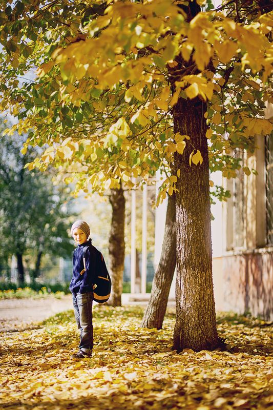 *** фото превью