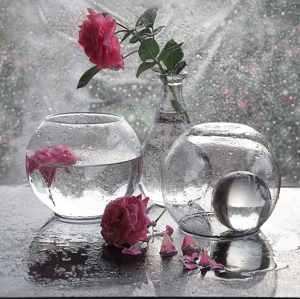 капли роза  стекло, Татьяна