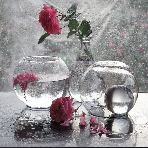 Летний дождь