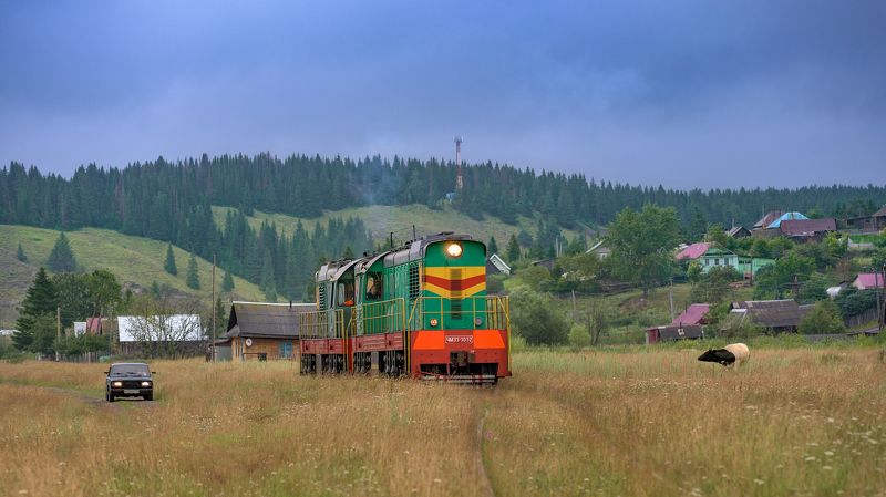 жд, железная дорога, поезд, россия,  пейзаж, skrylov, skrylov_official, лето, нязепетровск, поле, деревня, чмэ3, корова, пастораль *** фото превью