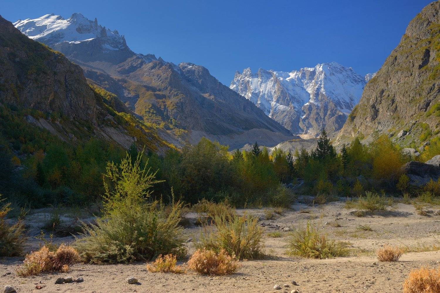 горы осень утро, Александр Жарников