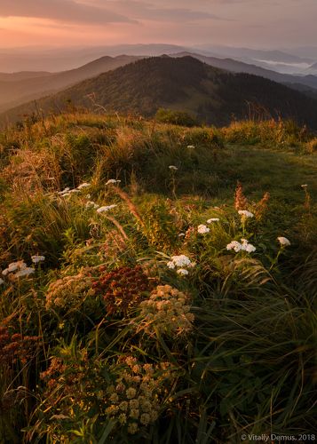 Ветренная вершина. Карпаты. г.Параска (г. Парашка)
