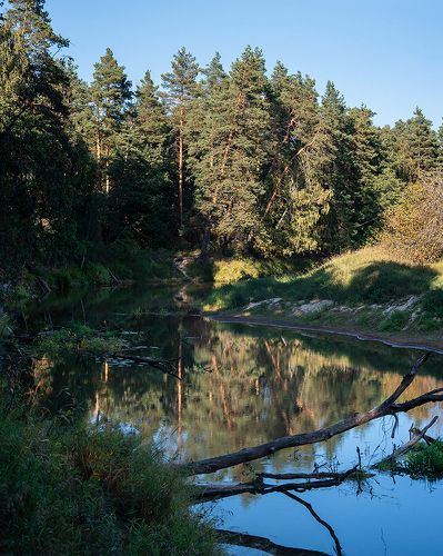 У лесной реки - диптих