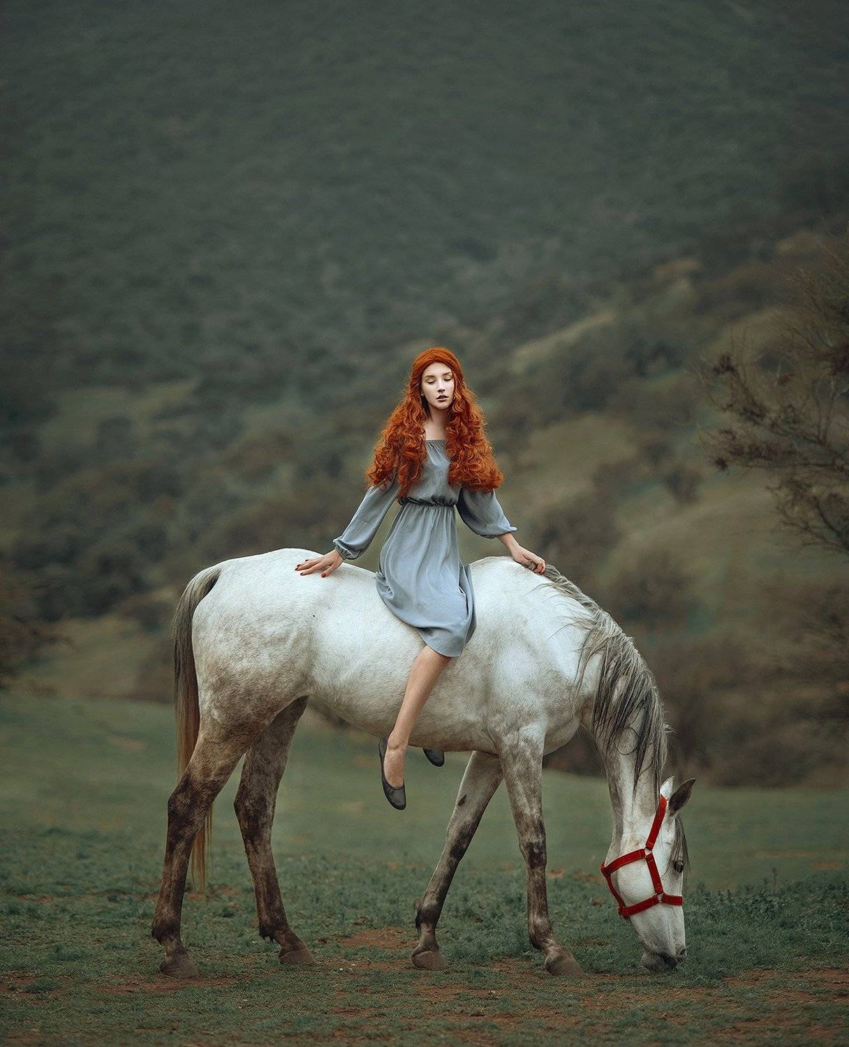 лошадь, рыжие волосы, девушка, Amina Donskaya