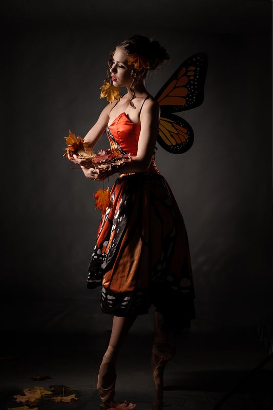 танец, осень, листья, бабочка, портрет, художественная, концептуальное, балет, тело, романтическая, постановочная, лирическая, art, davydov, фотостудия Танец бабочки (Прощание с летом). фото превью