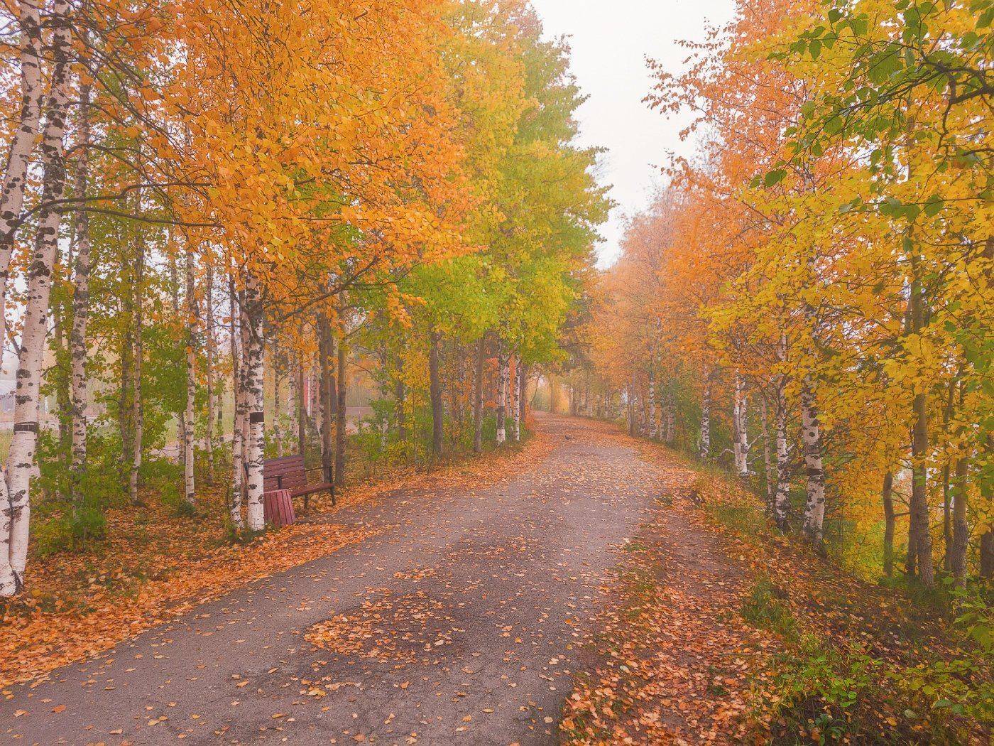 печора, Игорь Подобаев