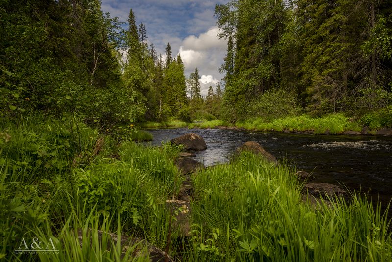 Кольский полуостров, Терский берег, Умба река Пила фото превью
