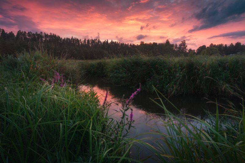 water sky clouds sunrise river wildflowers poland podlasie mood light colors Summer memory... фото превью