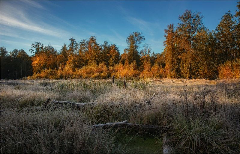 Первые заморозки фото превью