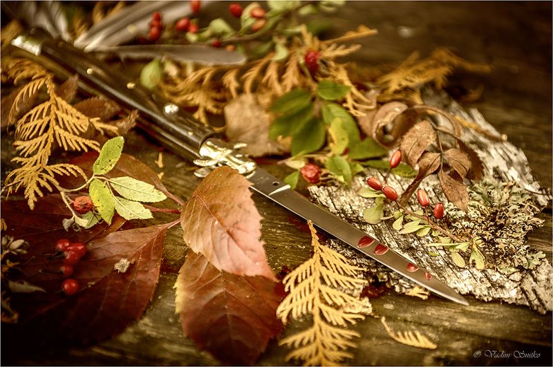 Italiano stiletto фото превью