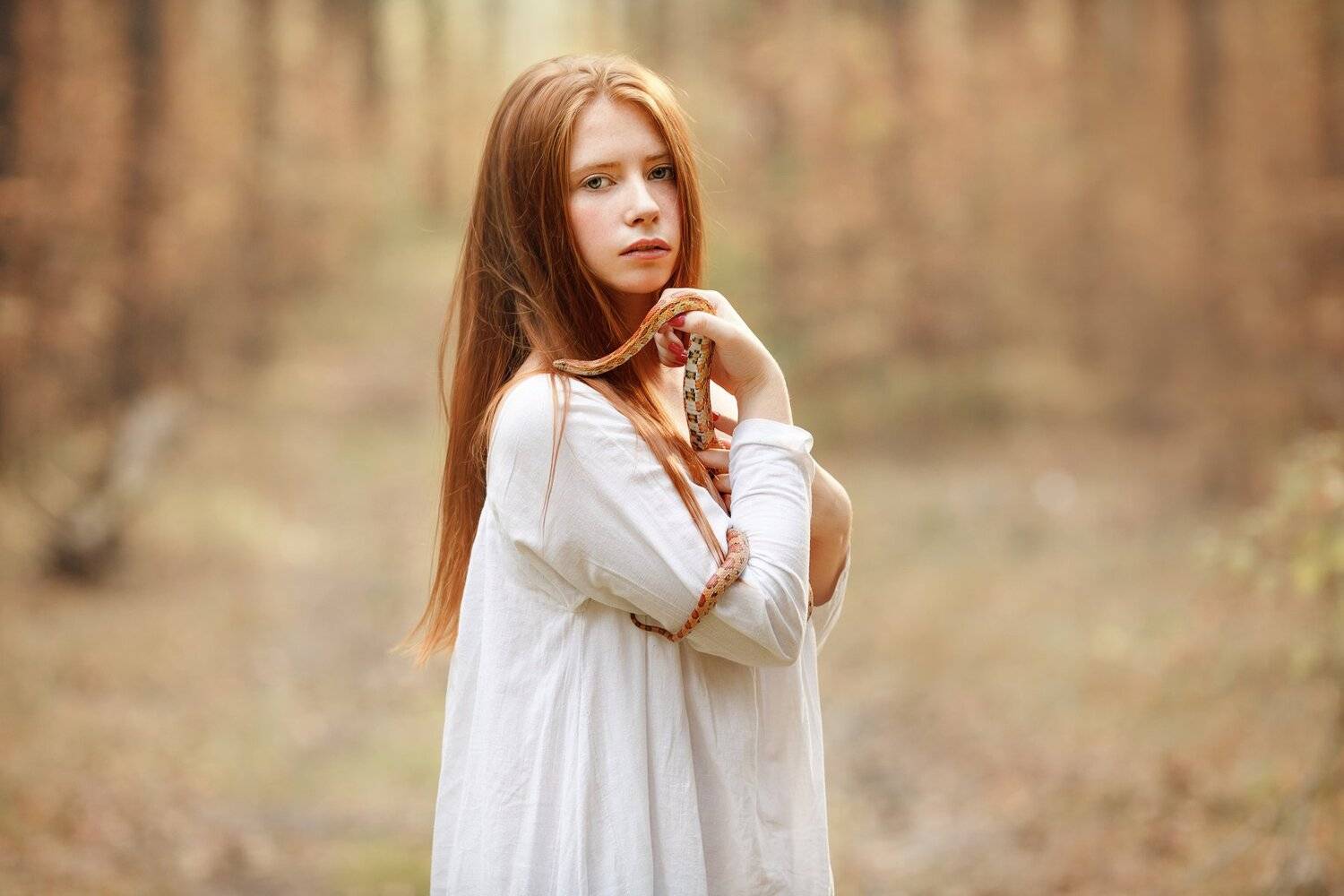 эльф, Светлана Никотина