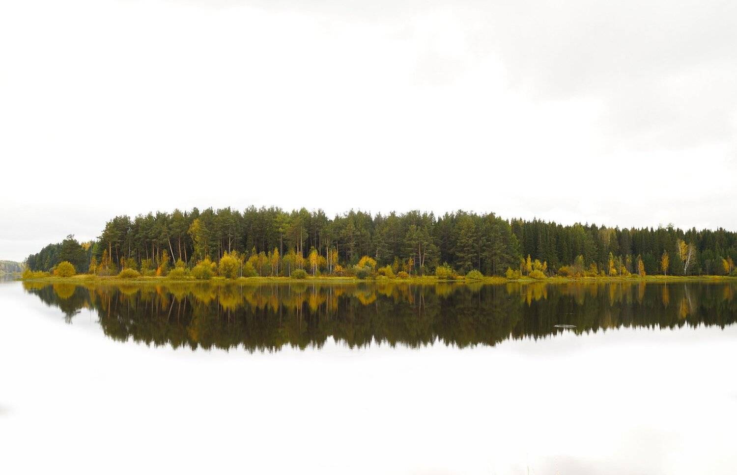 пейзаж,река,тура,берег,пейзаж,осень, Валерия