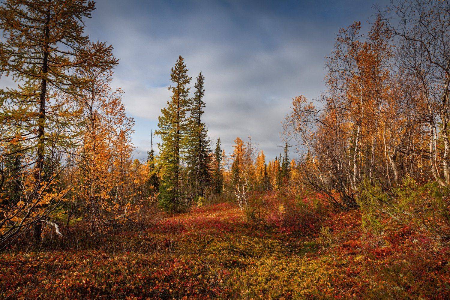, Евгений Кужилев
