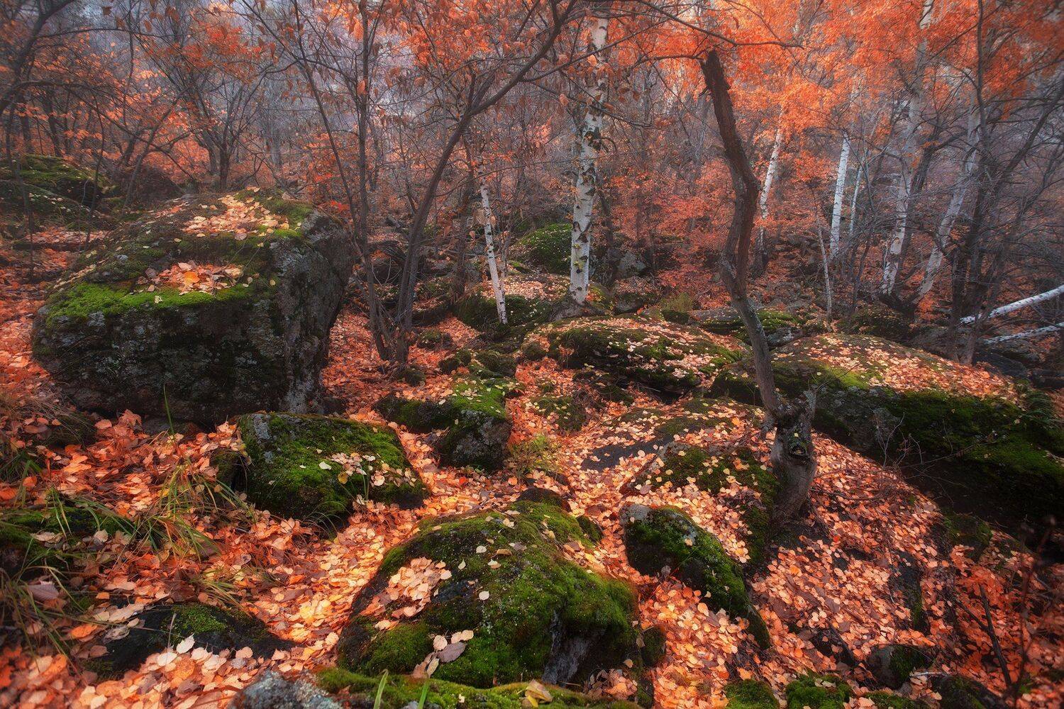 , Павел Сагайдак