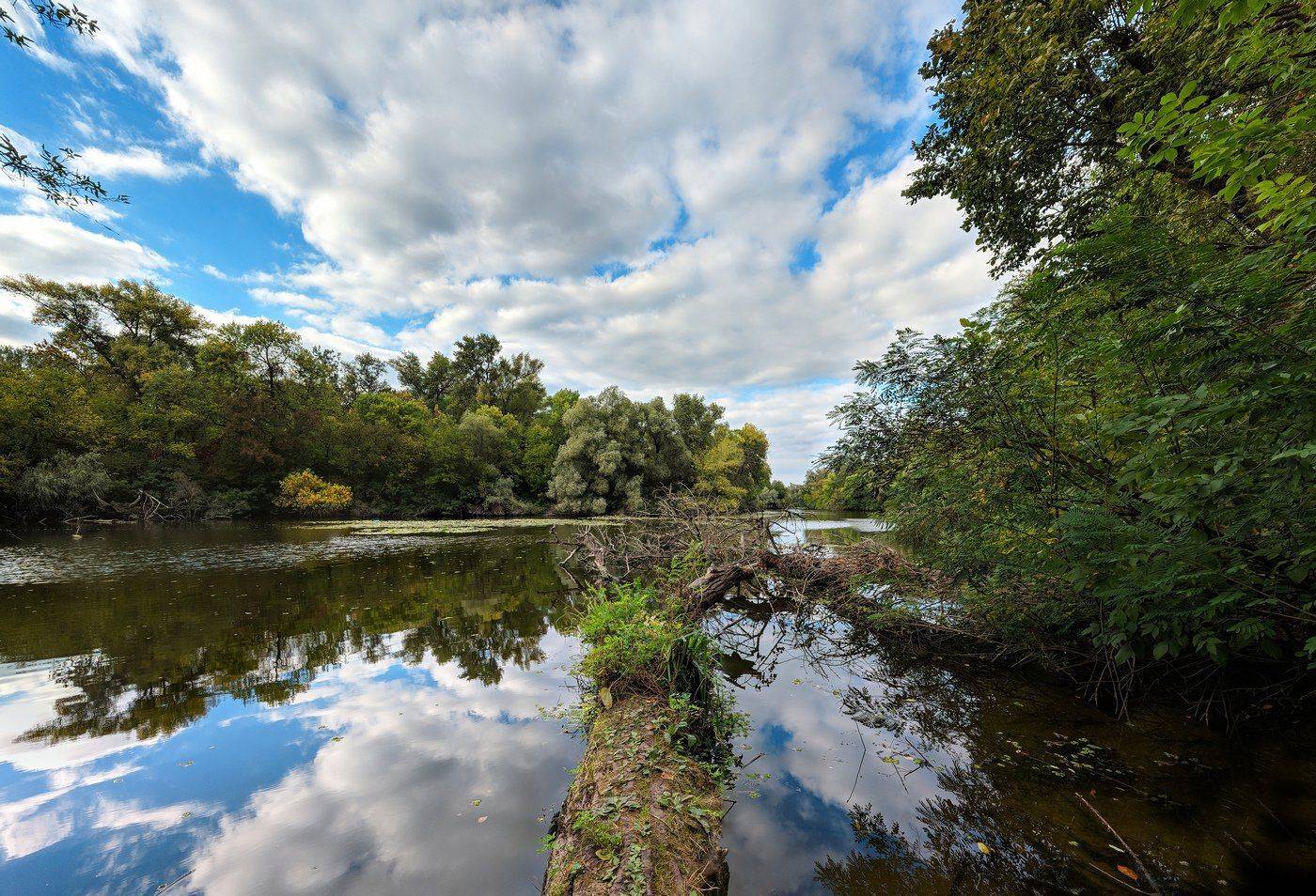 пейзаж,плавни,небо,вода,отражение,река,зелень,облака,дерево, Сергей Богачёв
