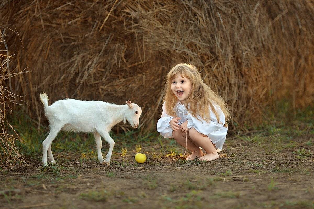 фотопрогулка, красотка, ребенок, девочка, радость, дети на фото, закатное солнышко, закат, радость счастье, фотосессия, детский фотограф, детская фотосессия, детское фото, детские фото, маленькие дети, дети, лето, фотосессия с животными,, Францева Ольга