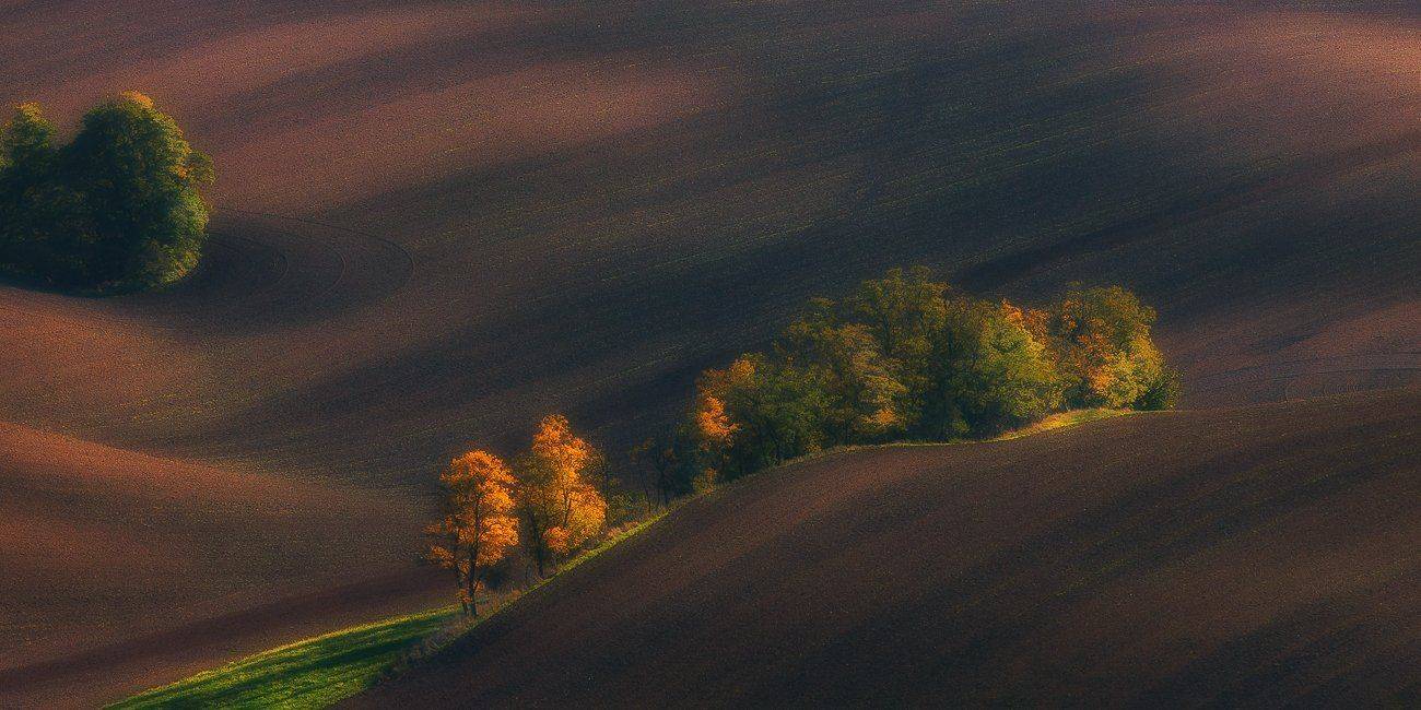 , Marek Biegalski