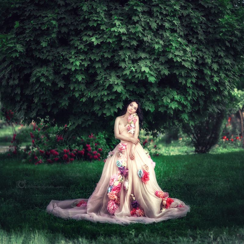 Tree фото превью