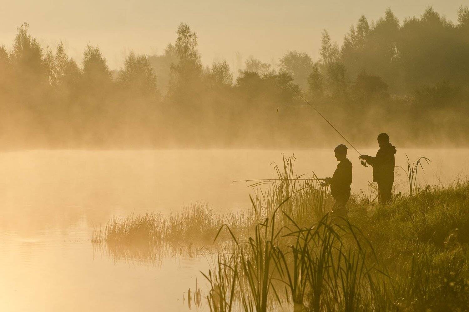 утро, рыбаки, рыбалка, коптево, Михаил Агеев