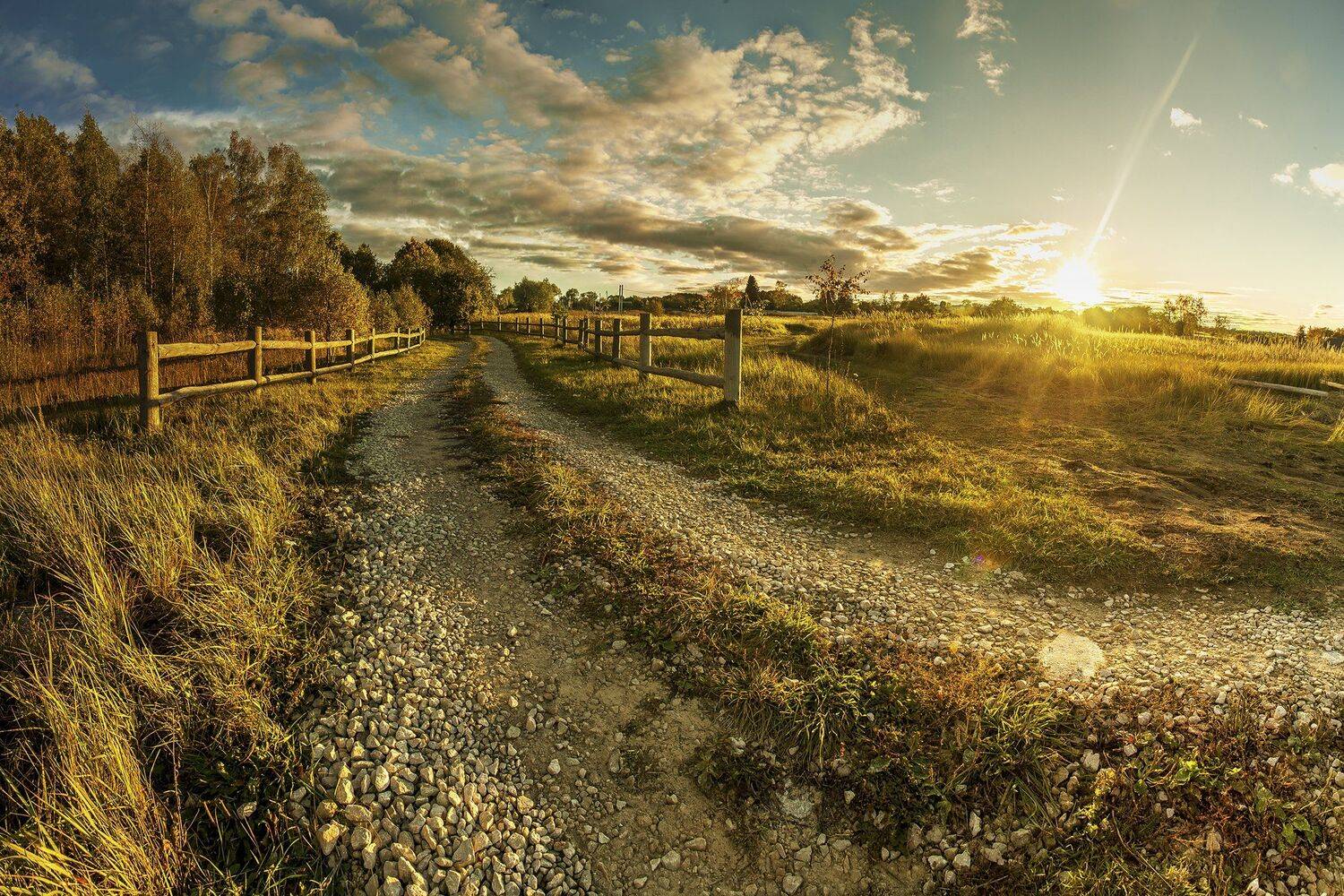 , Виталий Стрельцов