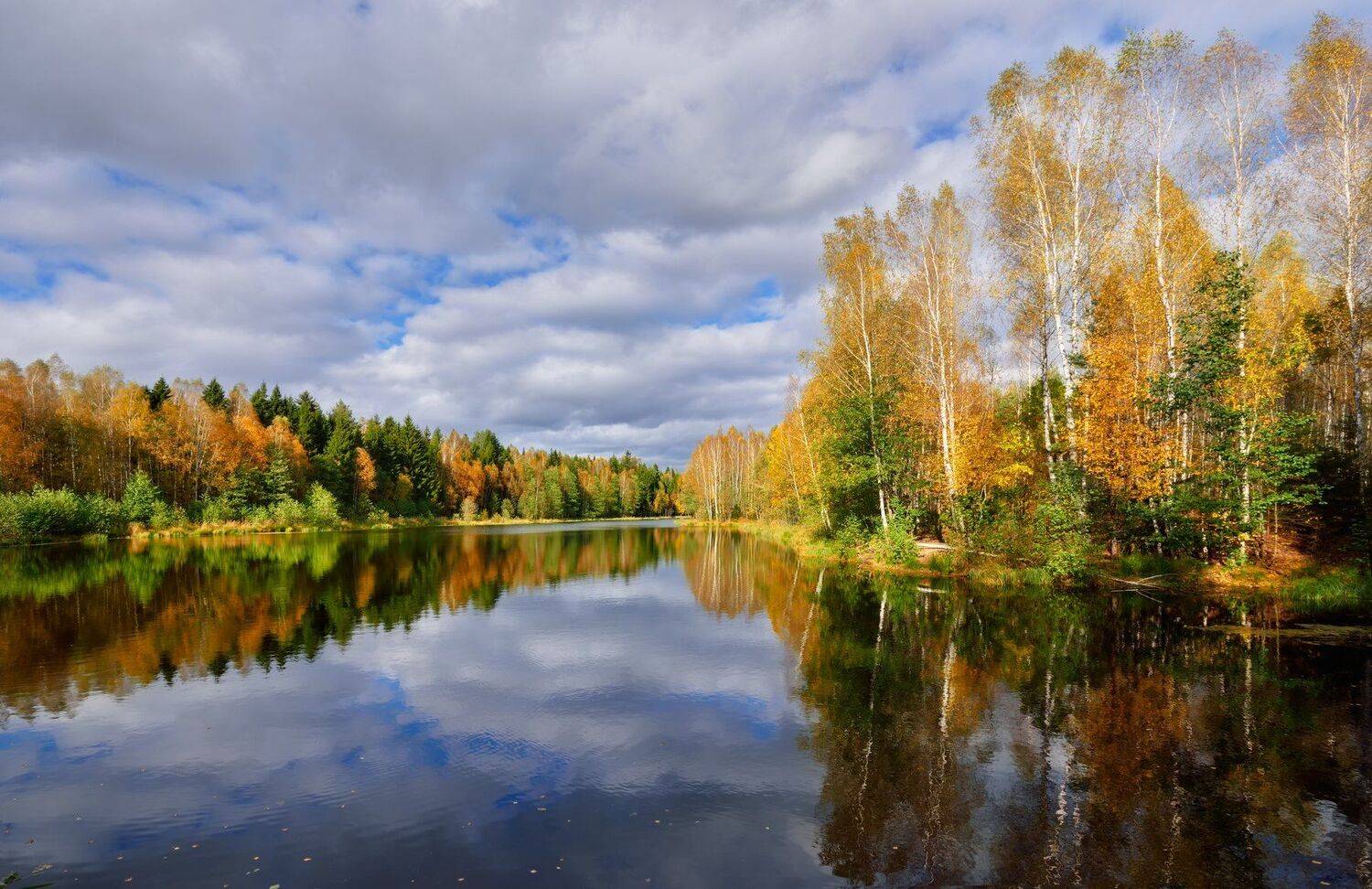 осень,река,лес,деревья.краски, Виталий Полуэктов
