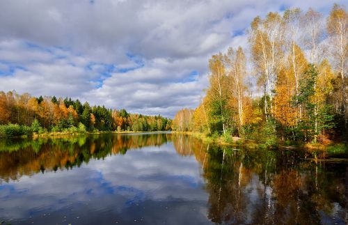 яркие краски осени