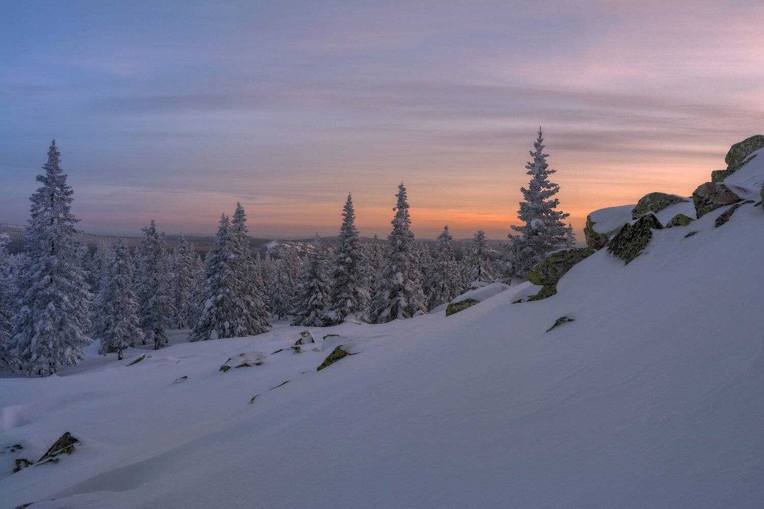 , Андрей Шарапов