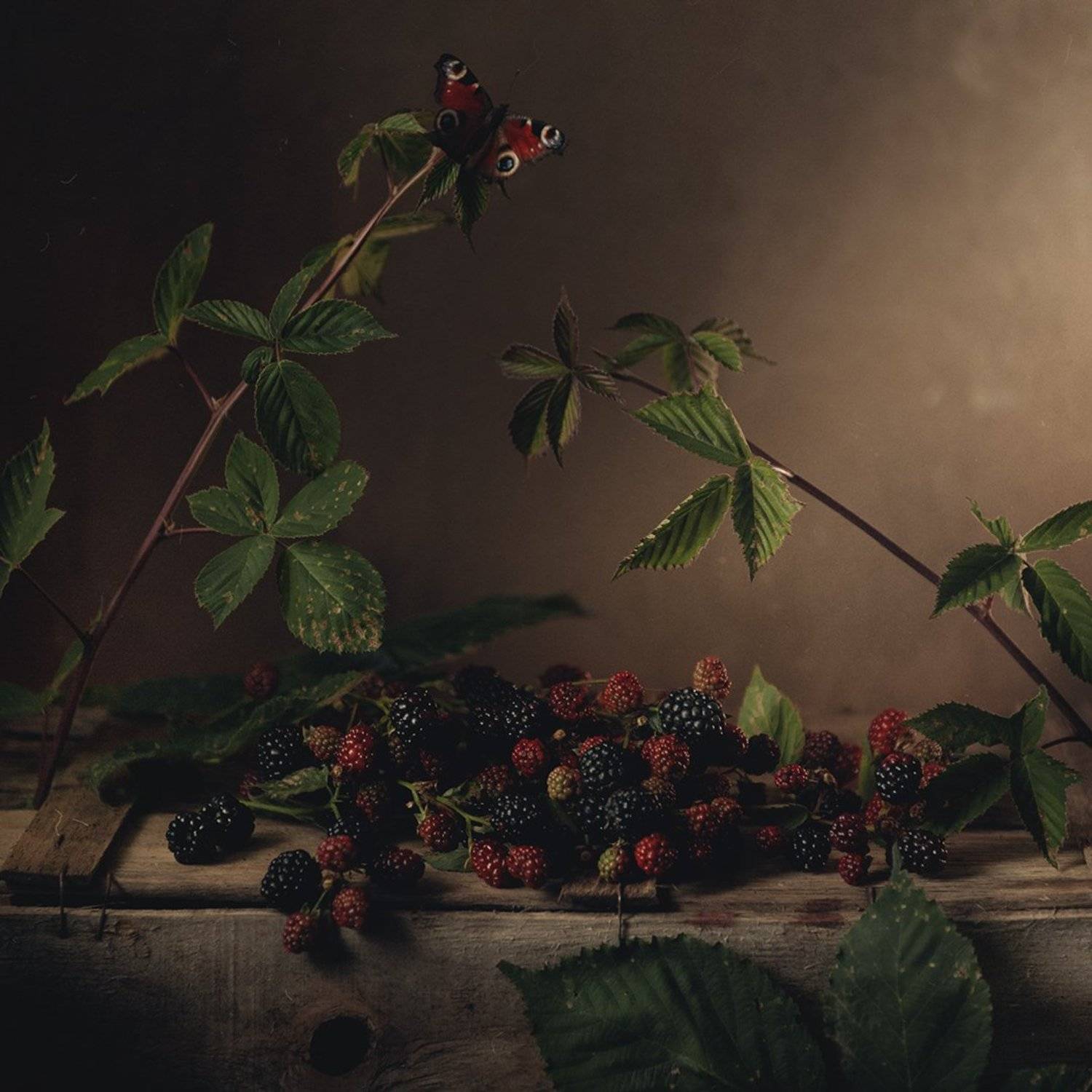 ежевика, натюрморт, осень, Бабинцева Мария