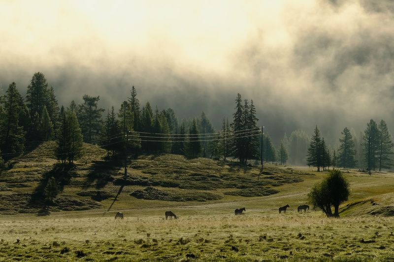 Алтайское фото превью