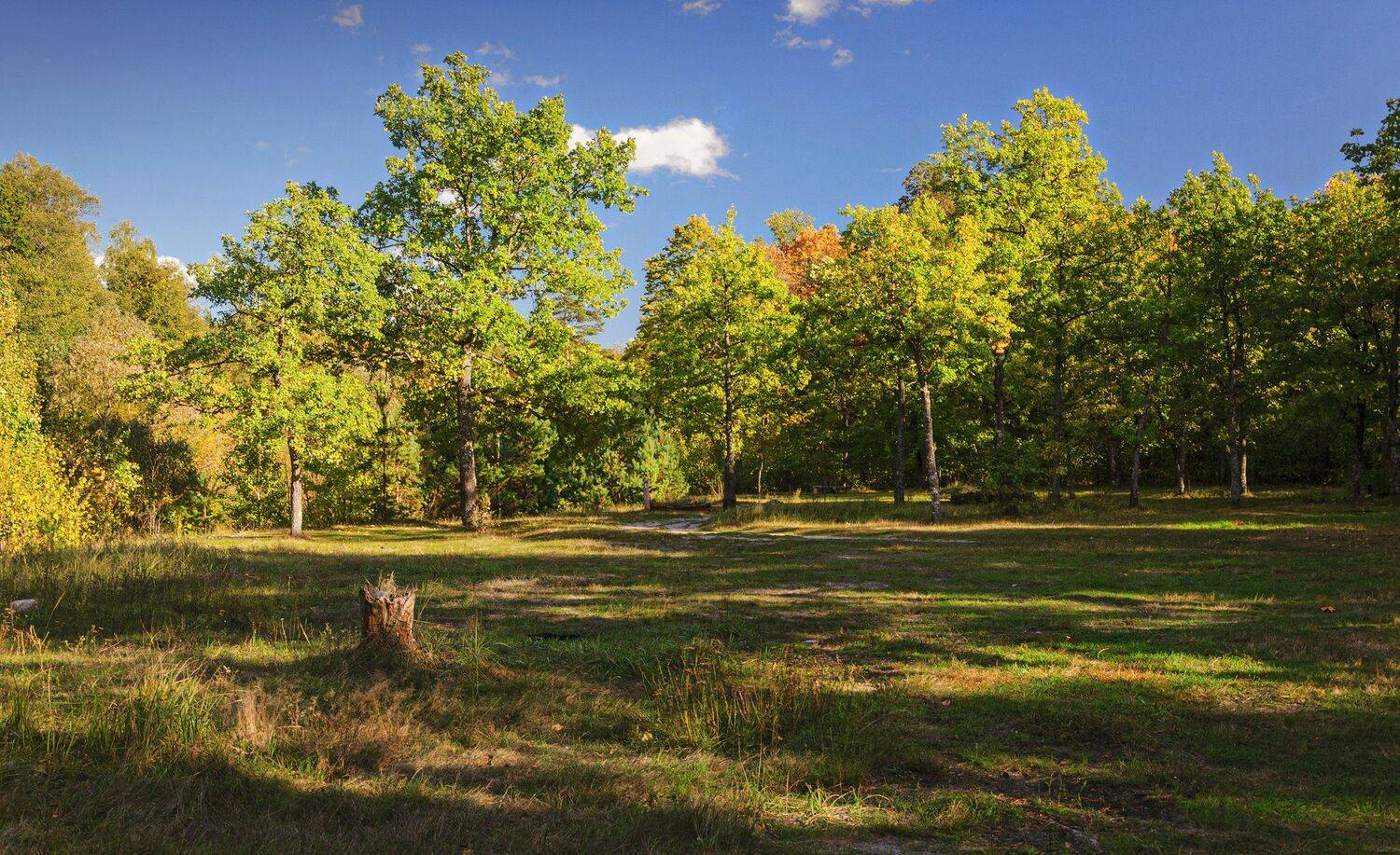 nevant60, пейзаж, красота, небо, Александр Березуцкий