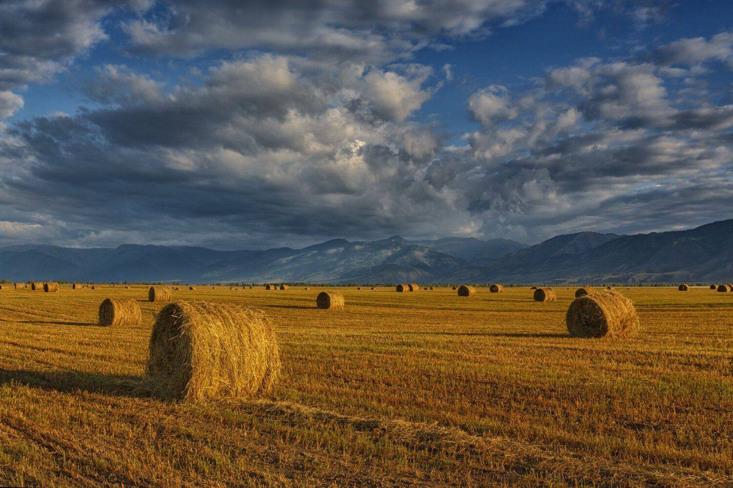 горы, облака, природа, алтай, рассвет, река, путешествие, россия, озеро, Шевченко Николай
