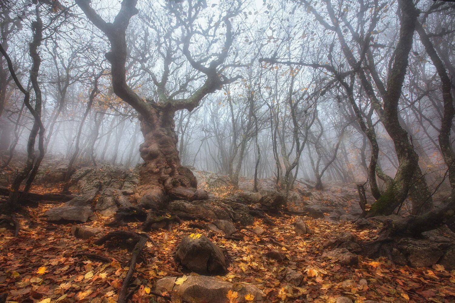 крым,ай-петри,туман, утро,скалы, гора, ландшафт,пейзаж,солнце,тучи, Александр Костенко