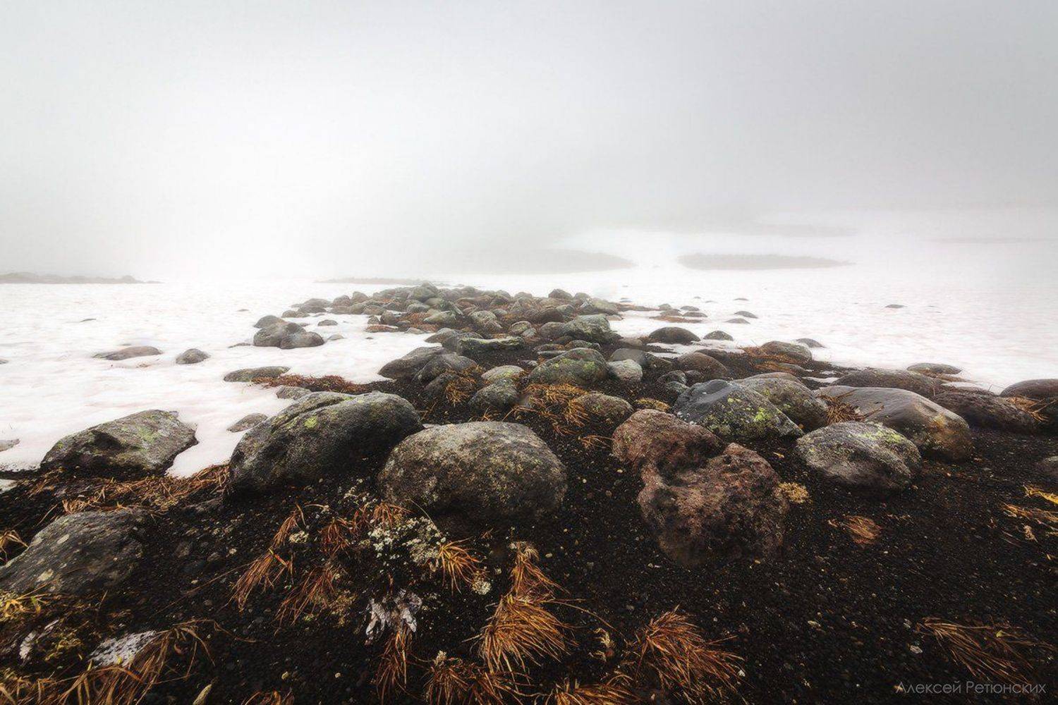 , Алексей Ретюнских