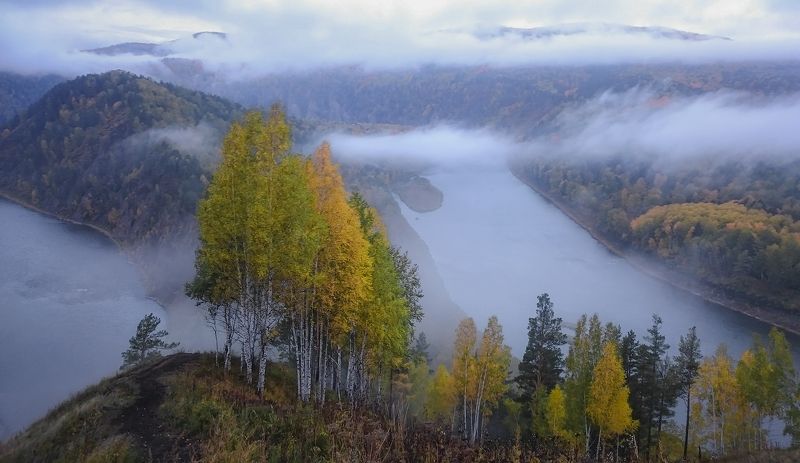 Осень в телефоне фото превью