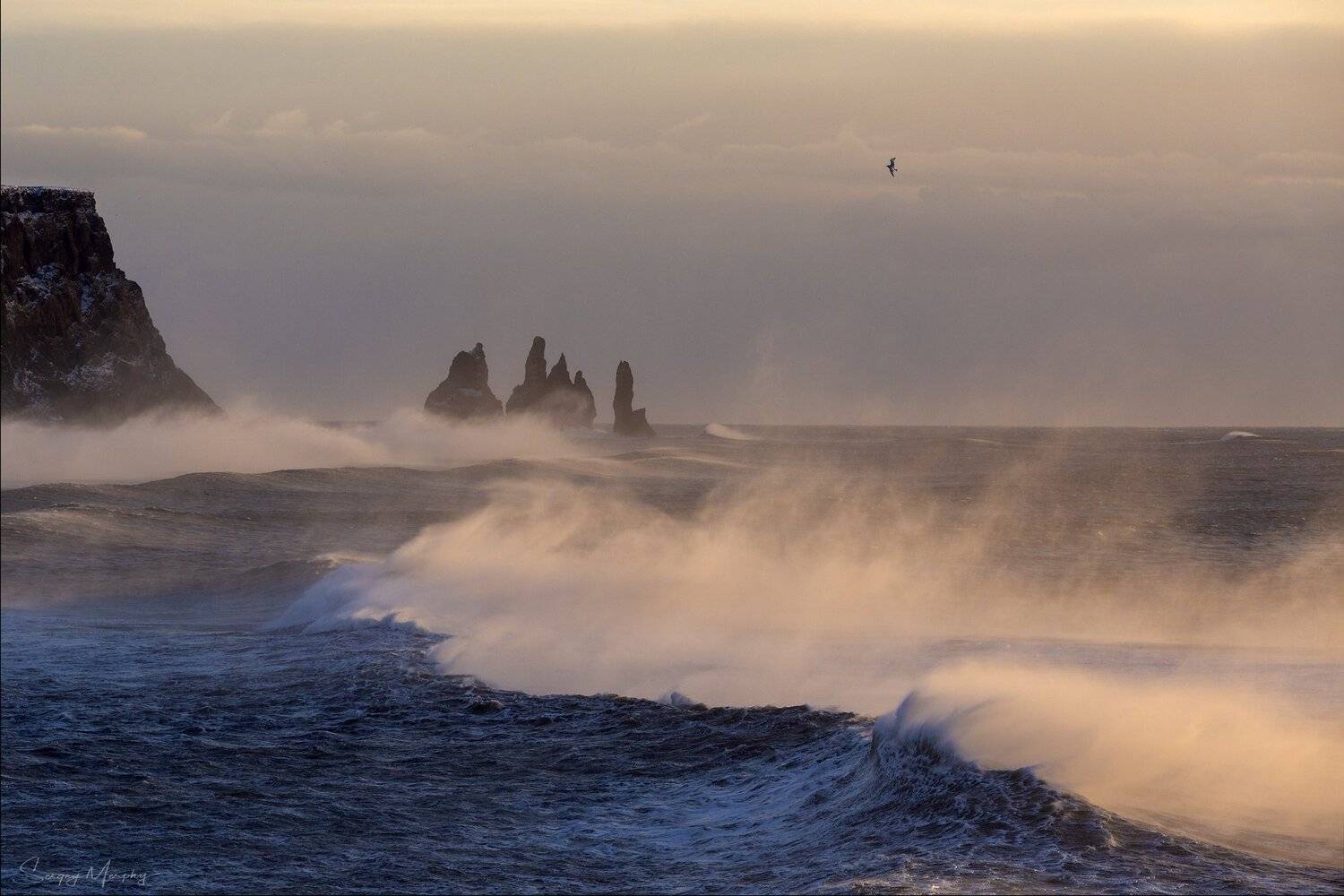 strong wind on reynisdrangar, iceland, Sergey Merphy